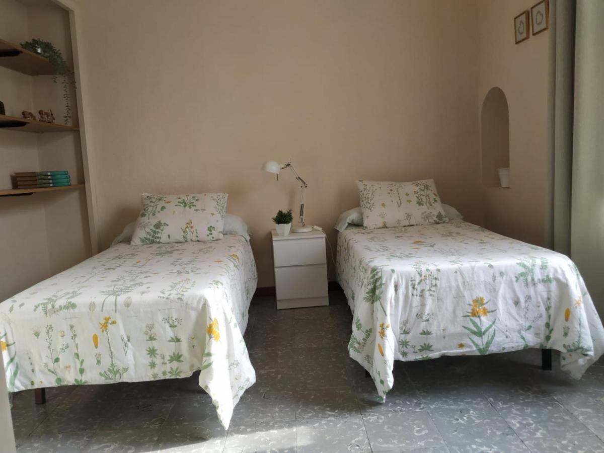 Apartmán Alfacs Sant Carlos de la Ràpita Exteriér fotografie