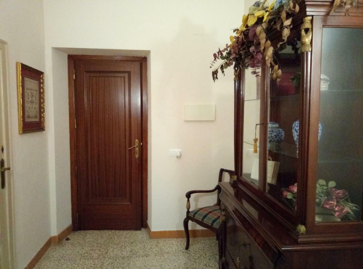Apartmán Alfacs Sant Carlos de la Ràpita Exteriér fotografie
